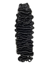 Forever Burmese Curl