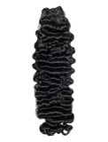 Forever Burmese Curl